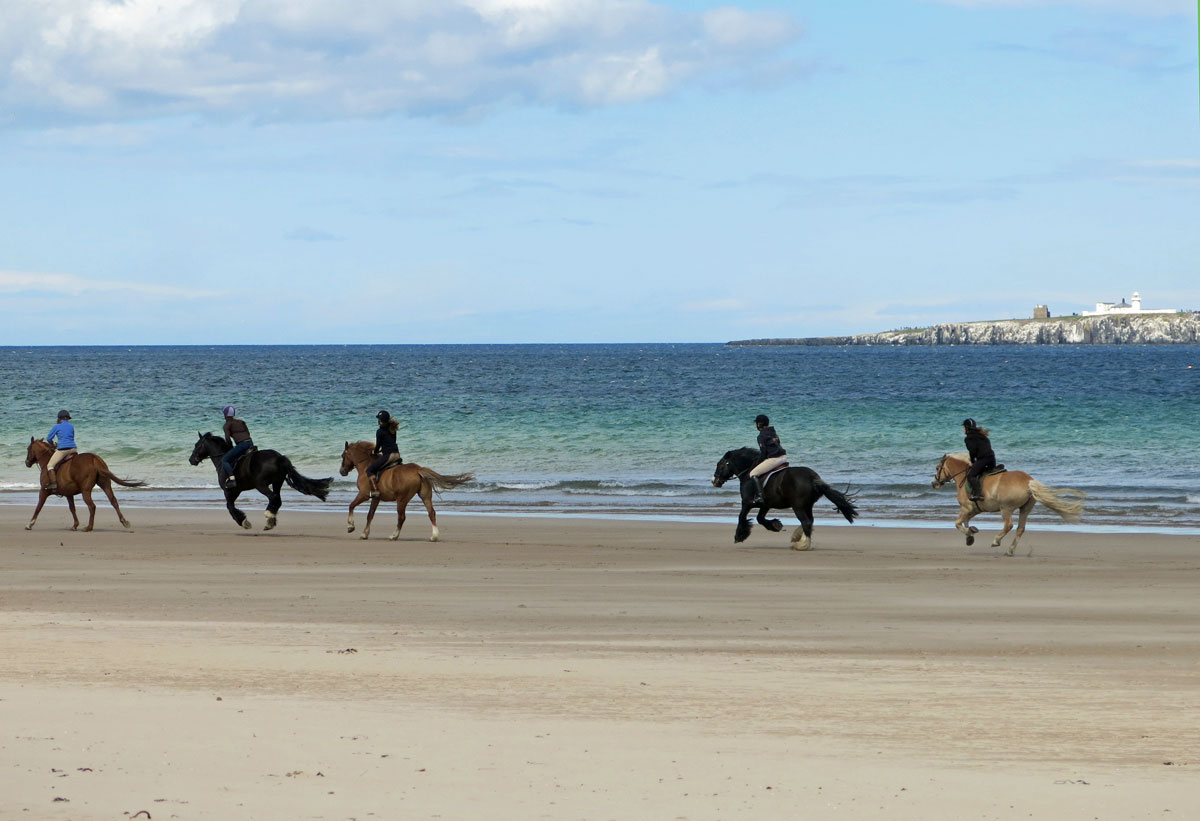 Horse riding Northumbrland Beach