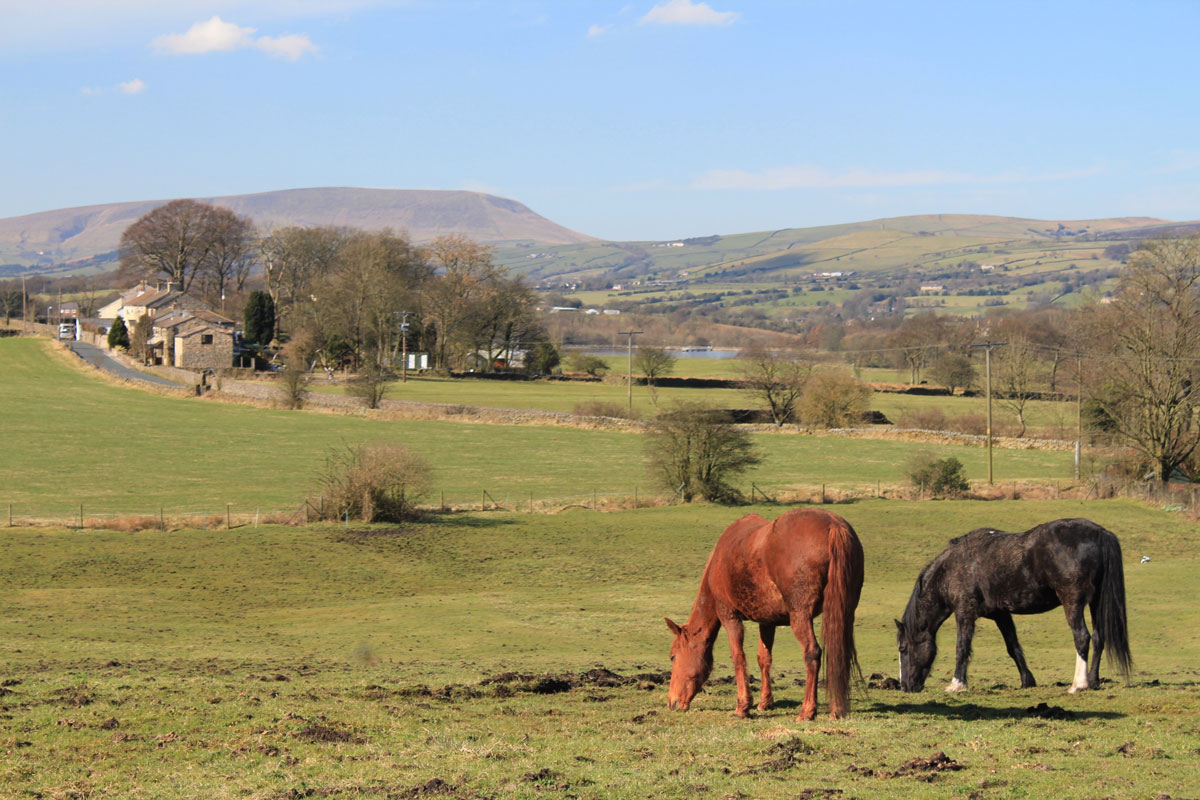 pendle Hill Forest of Bowland