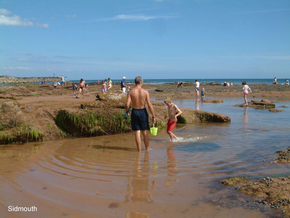 Sidmouth rock pools