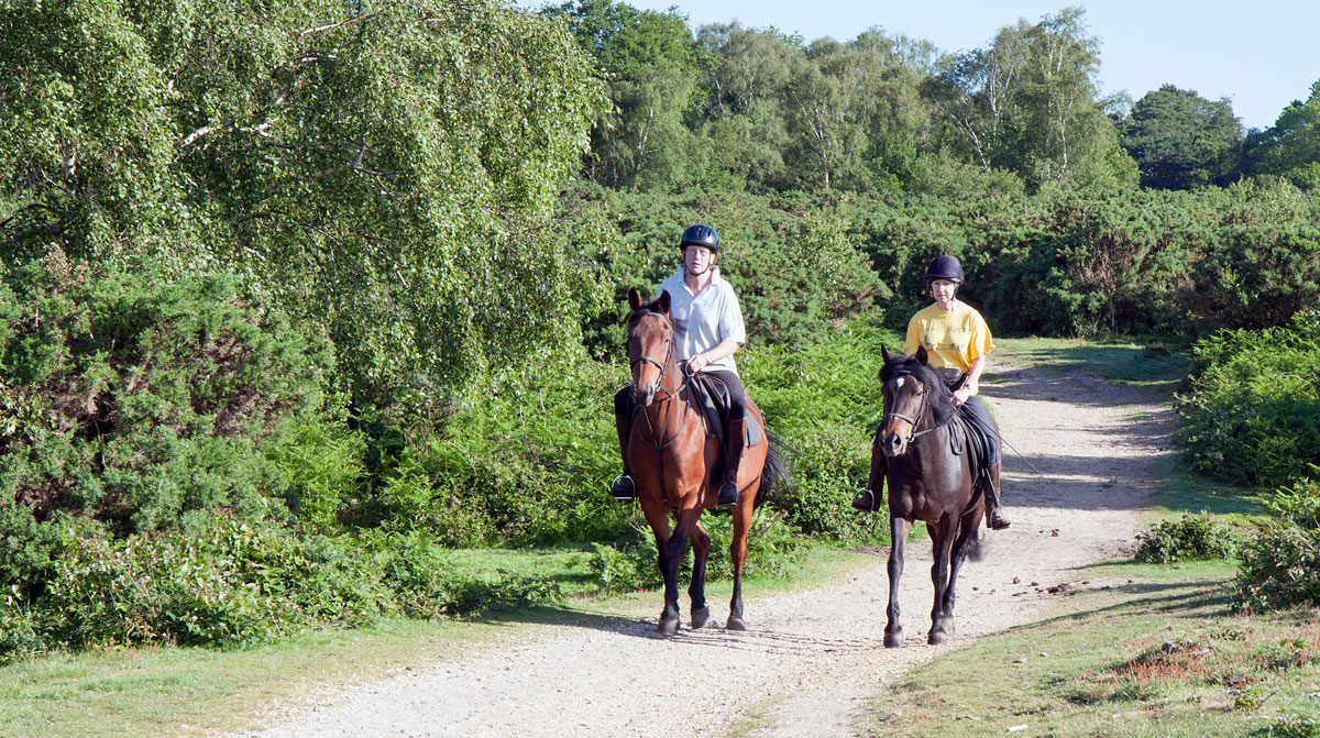horse riding in the Blackdown Hills on holiday
